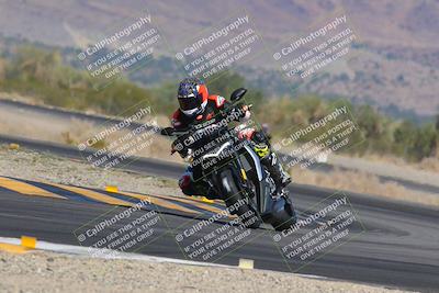 media/Nov-12-2023-SoCal Trackdays (Sun) [[5d1fba4e7d]]/Turn 14 (1035am)/